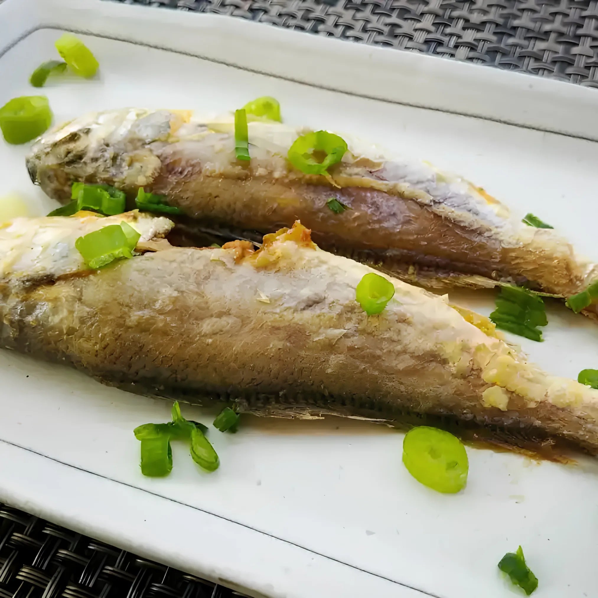 Croaker Fish
