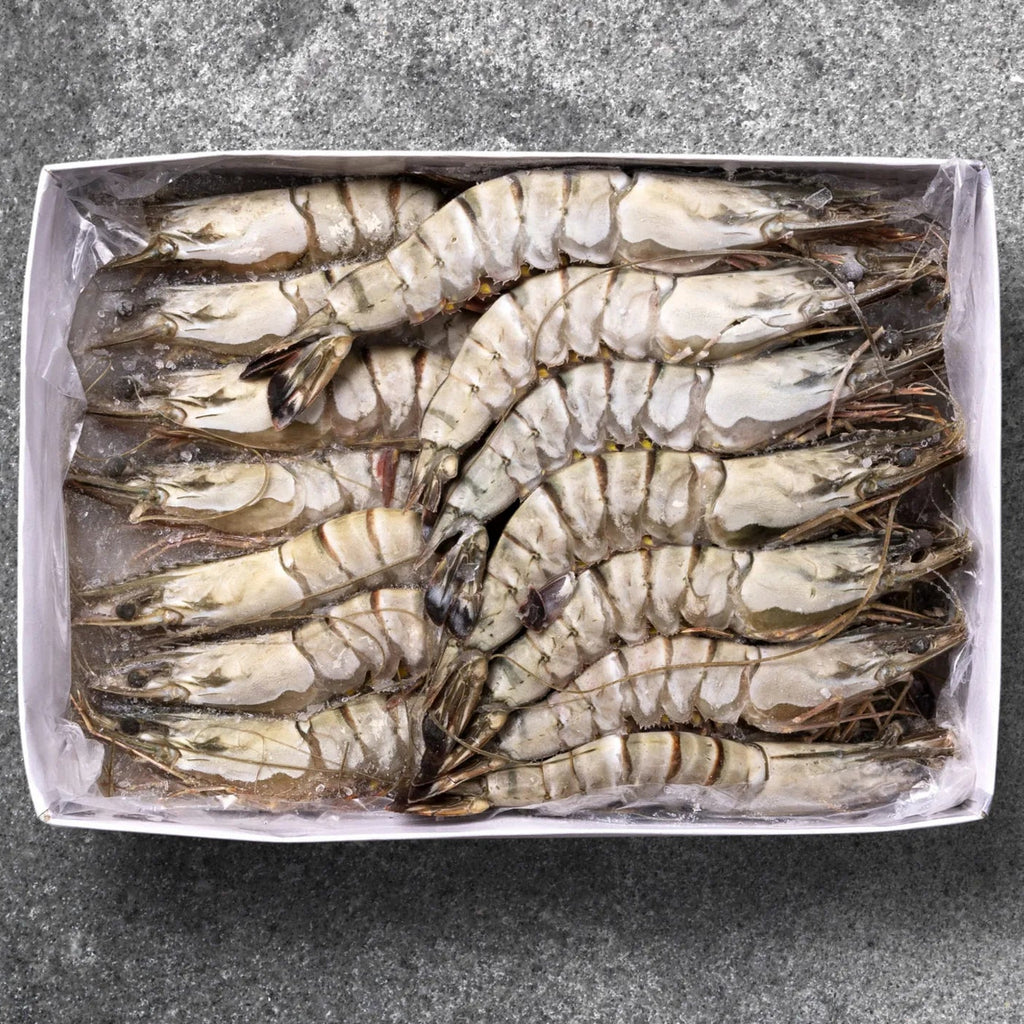Tiger Shrimp