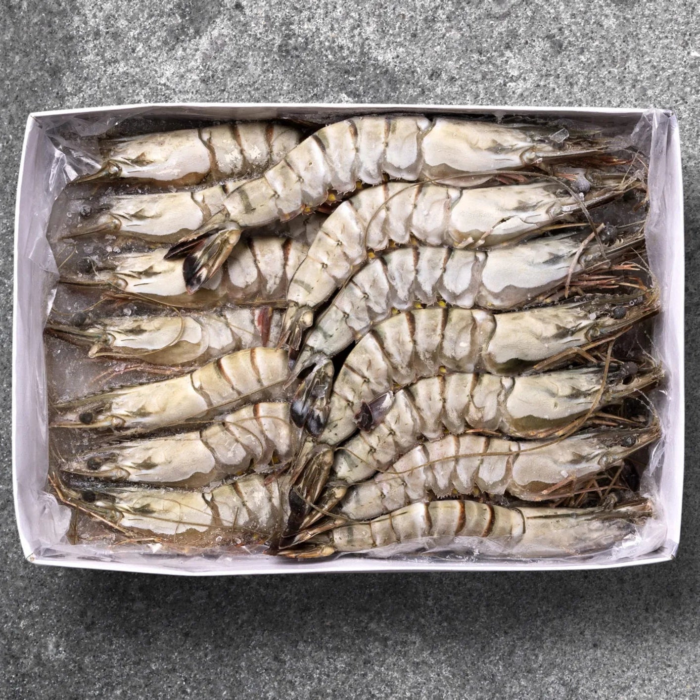 Tiger Shrimp