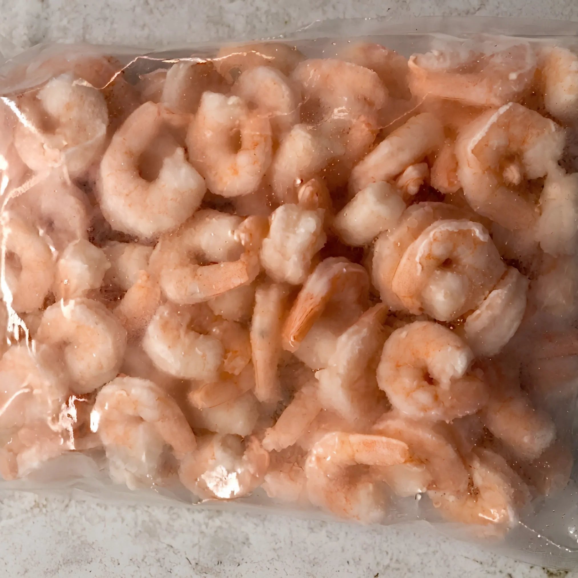 White Shrimp