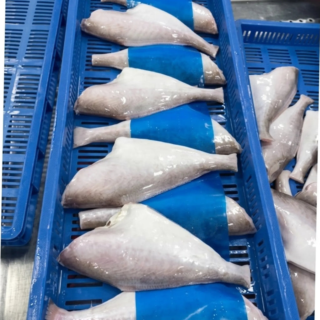 Leather Jacket Fish
